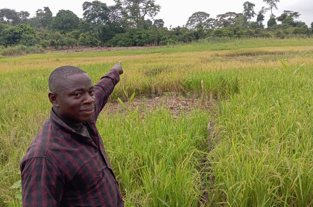 Saving Time and Money