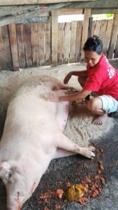 Despite Setbacks, Villagers Try Again