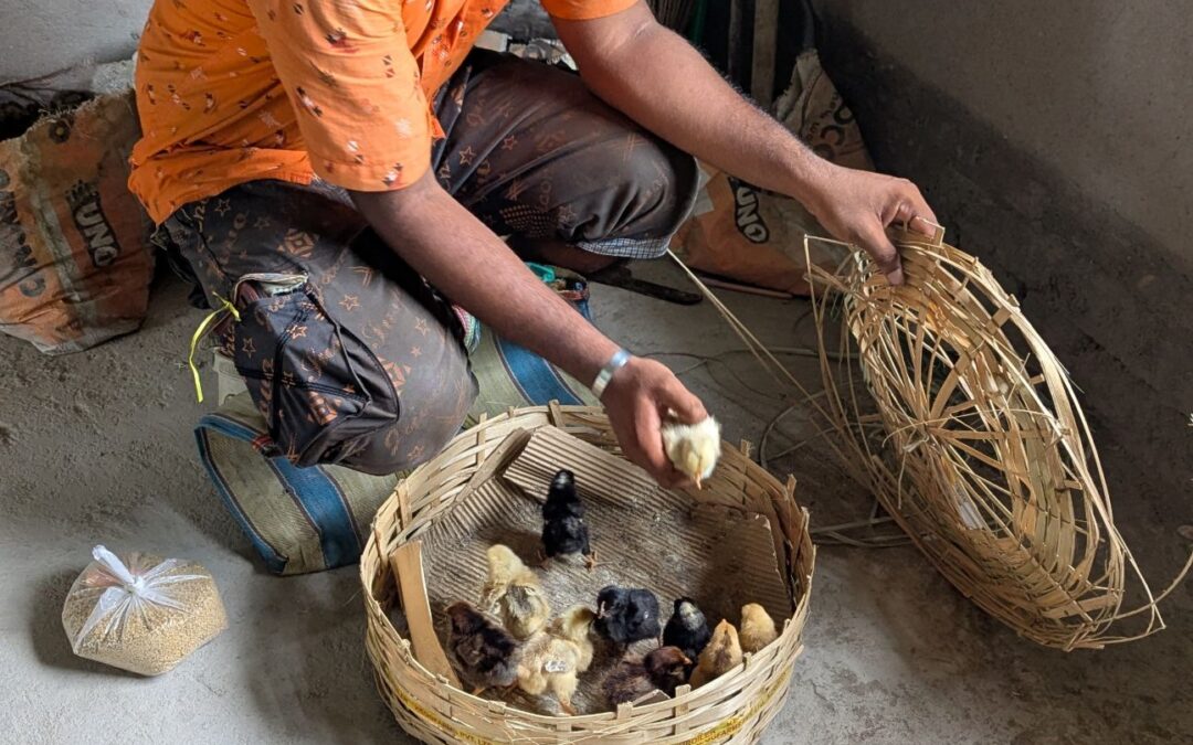 Dignity over Dependence