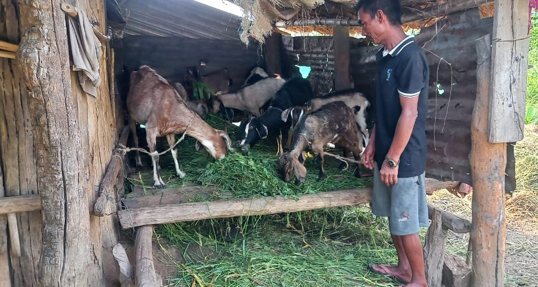 Goats Produce Fertilizer, Fertilizer Produces Vegetables