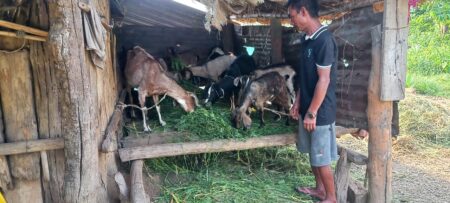 Goats Produce Fertilizer, Fertilizer Produces Vegetables