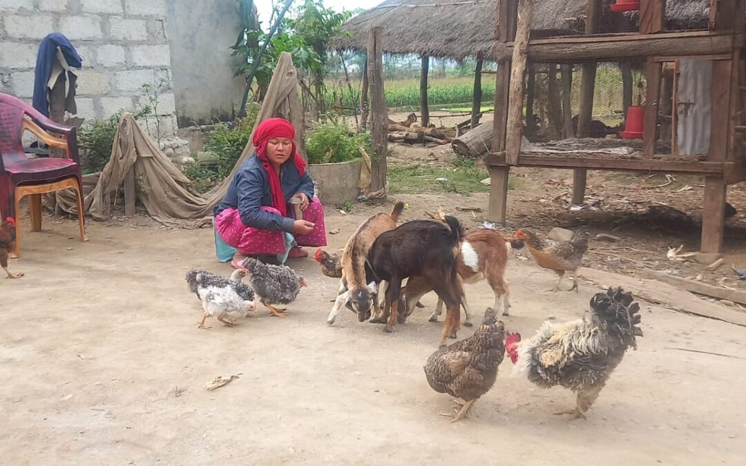 Villager Learns to Fight Poverty & Solve Financial Problems