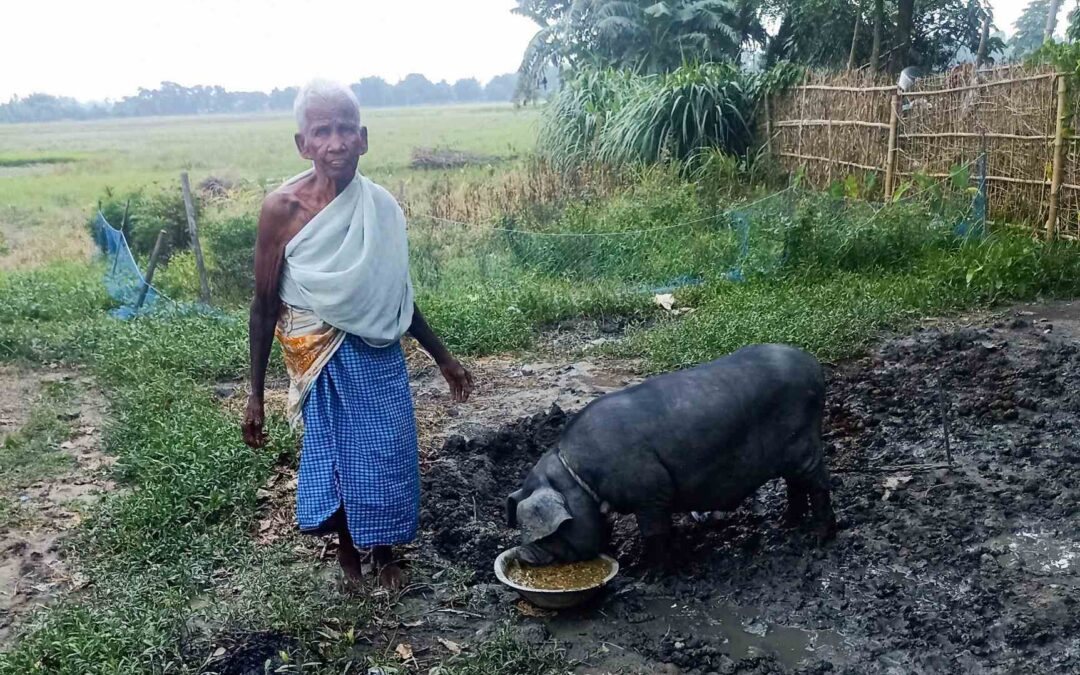 80+ Year Old Man Learn Self-Sustainability