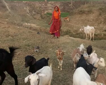 Raising Goats Transforms Lives