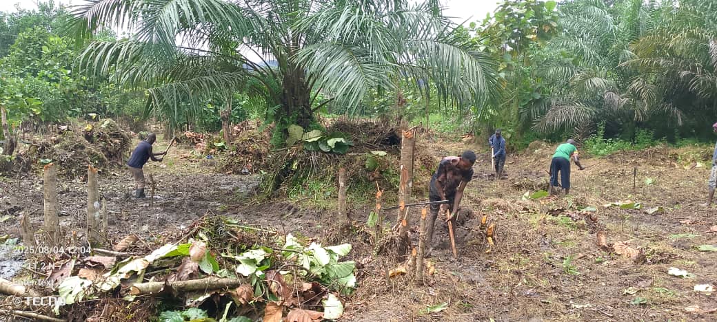 Taking Advantage of Trials