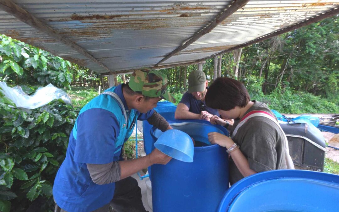 Dedication and Cooperation is Key to Success