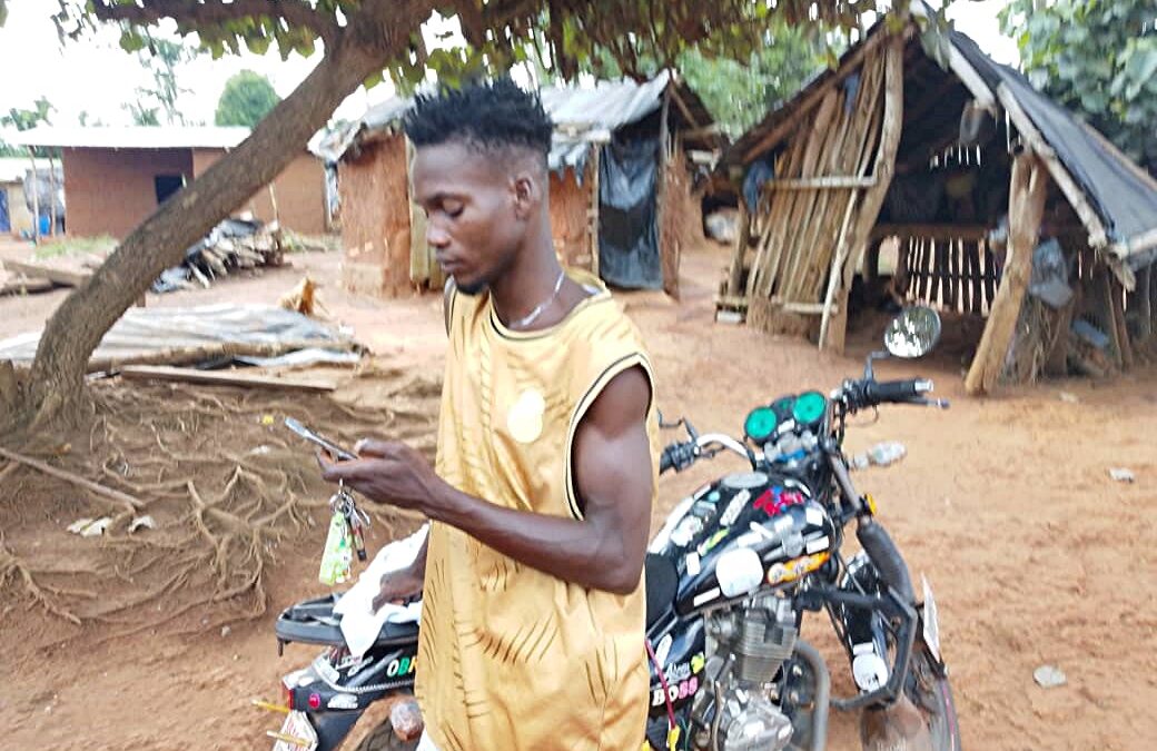 Early Seeds are Foundations for Life