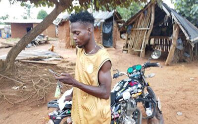 Early Seeds are Foundations for Life