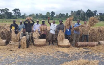 Advancing Agriculture