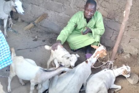 Prevalent Problems, Practical Solutions