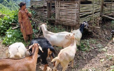 Mortgage Loan Paid Off Successfully