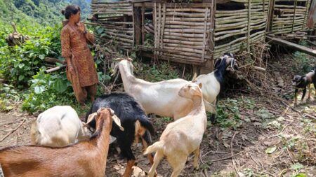 Mortgage Loan Paid Off Successfully