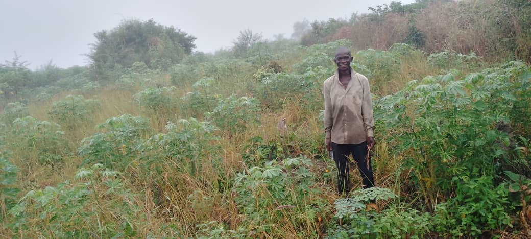 Income, Stability, and Standing