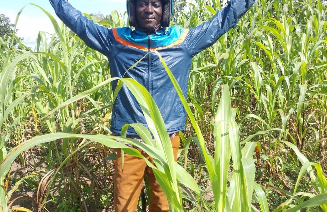 Communally Cultivated Crops