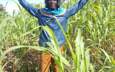 Communally Cultivated Crops