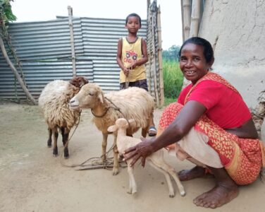 A Widow Becomes an Income Earner