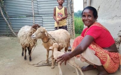 A Widow Becomes an Income Earner