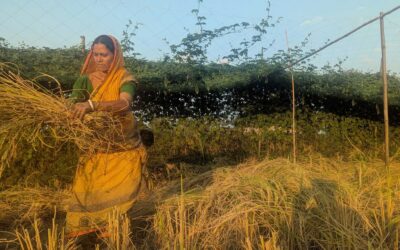 Determination Fuels Transformation