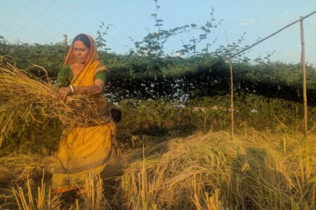 Determination Fuels Transformation