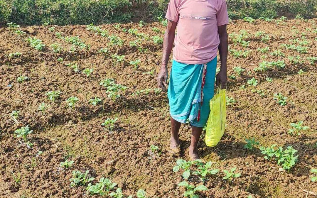 Increased Community Yield