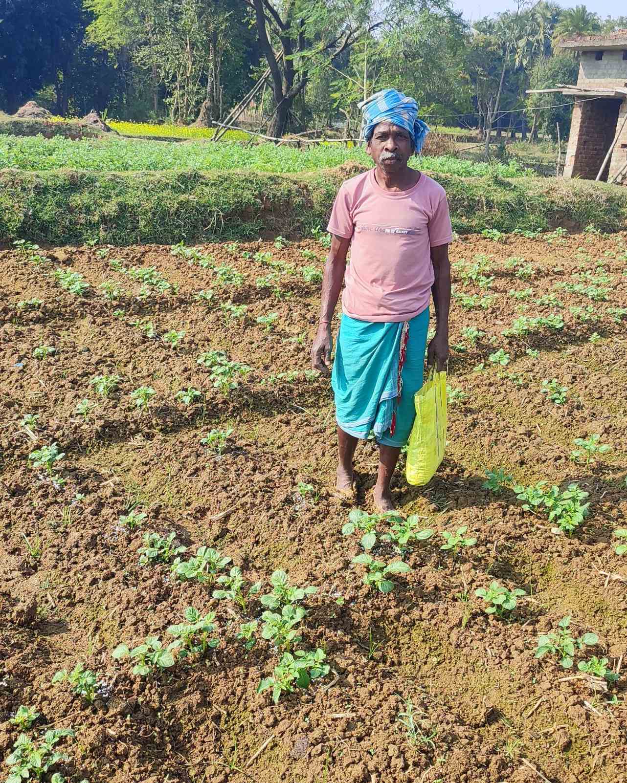 Baromasia female villager, Mr. Rajen, standing with his potato farm.