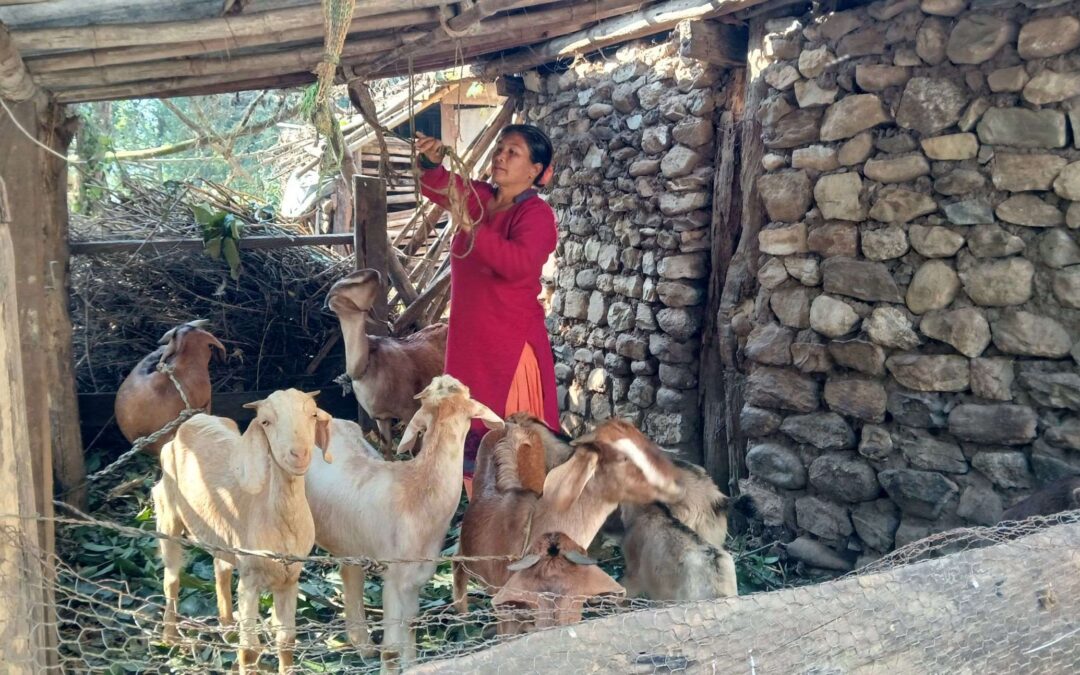 Entrepreneur Grows Her Goat Herd