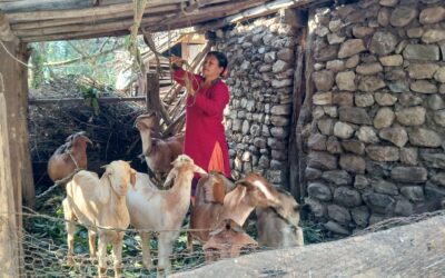Entrepreneur Grows Her Goat Herd