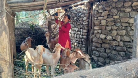 Entrepreneur Grows Her Goat Herd