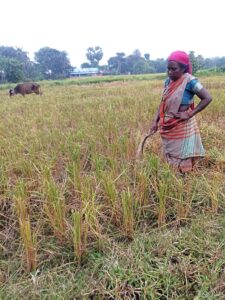 Training Brings Economic Stability