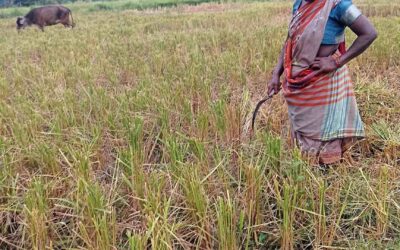 Training Brings Economic Stability