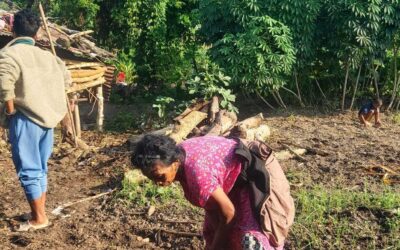 Training Transforms Lives