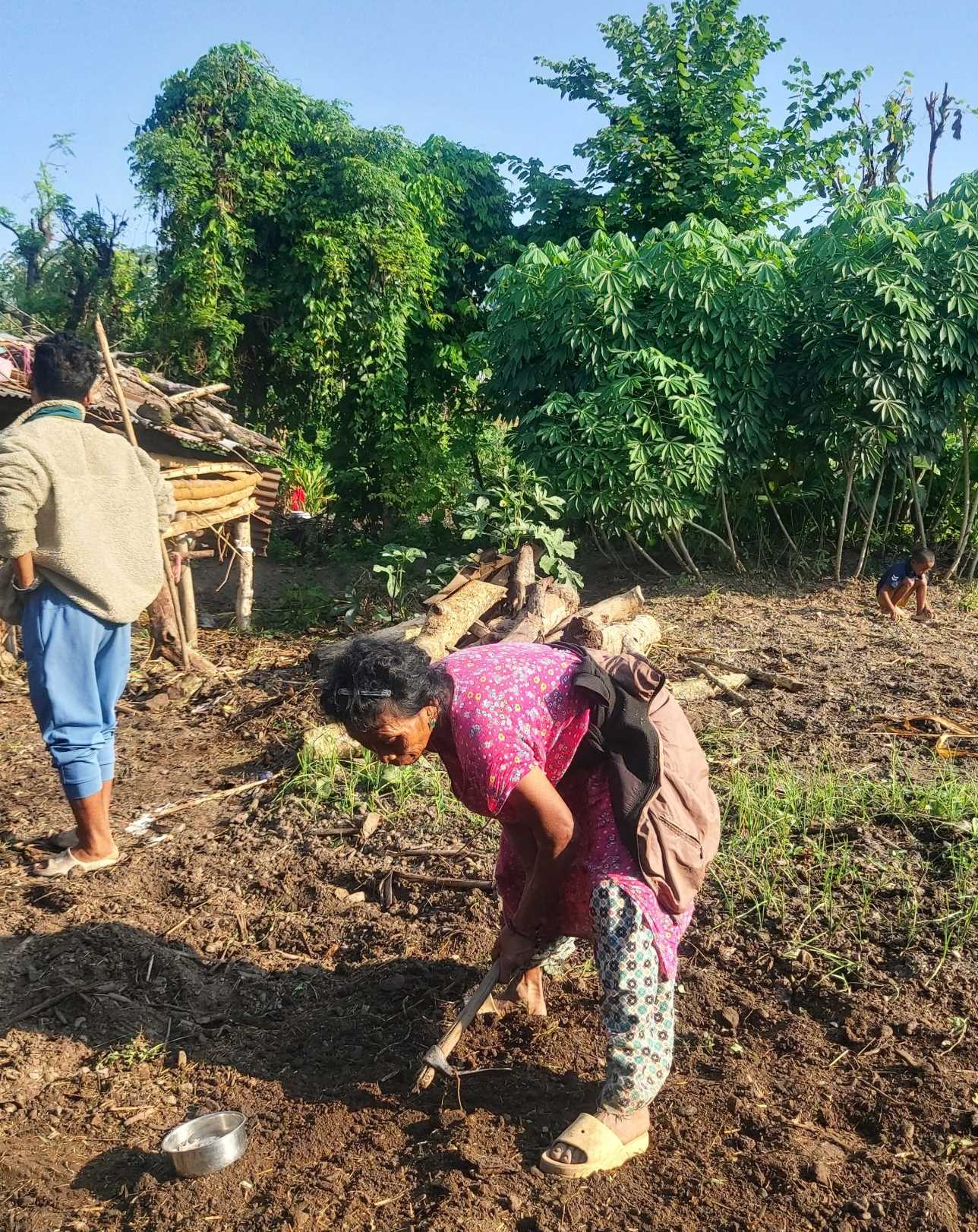 Dhedauli villager, Binita, digging with a shovel on the field.