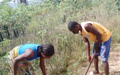 Future Forward Farming