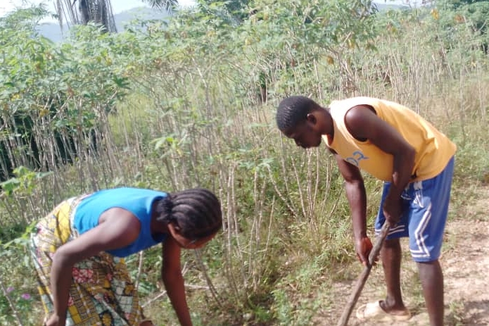 A Bomborma husband & wife working on their cassava farm.