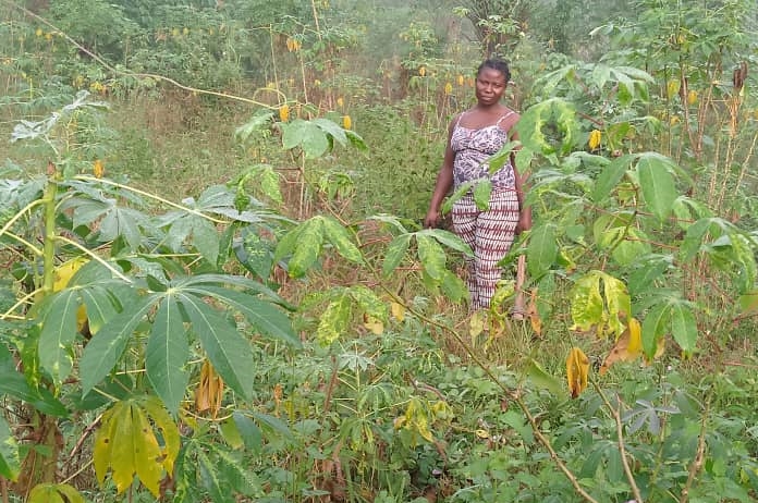 Gbessebu female villager, Gladice, surrounded by green leaves from her farm.