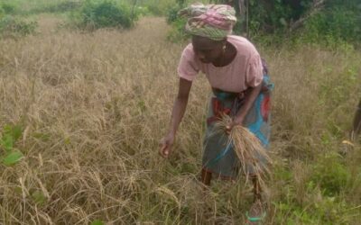 From Struggle to Security