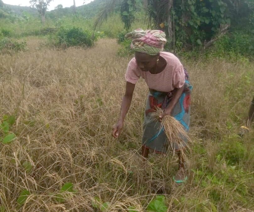 From Struggle to Security