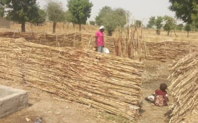 Avoidable Health Issues