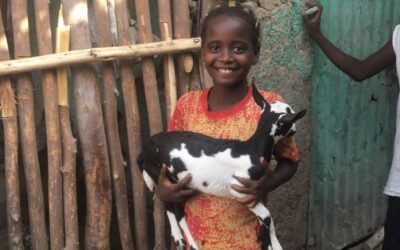 Ripples of Opportunity