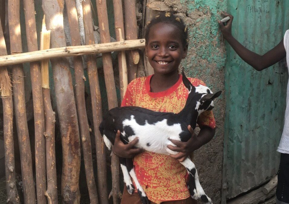 Ripples of Opportunity