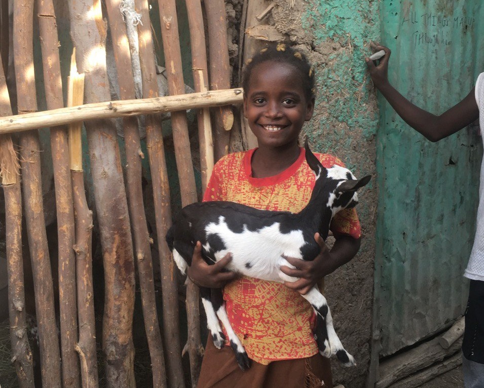 A young Didi Hara girl holding a small goat.