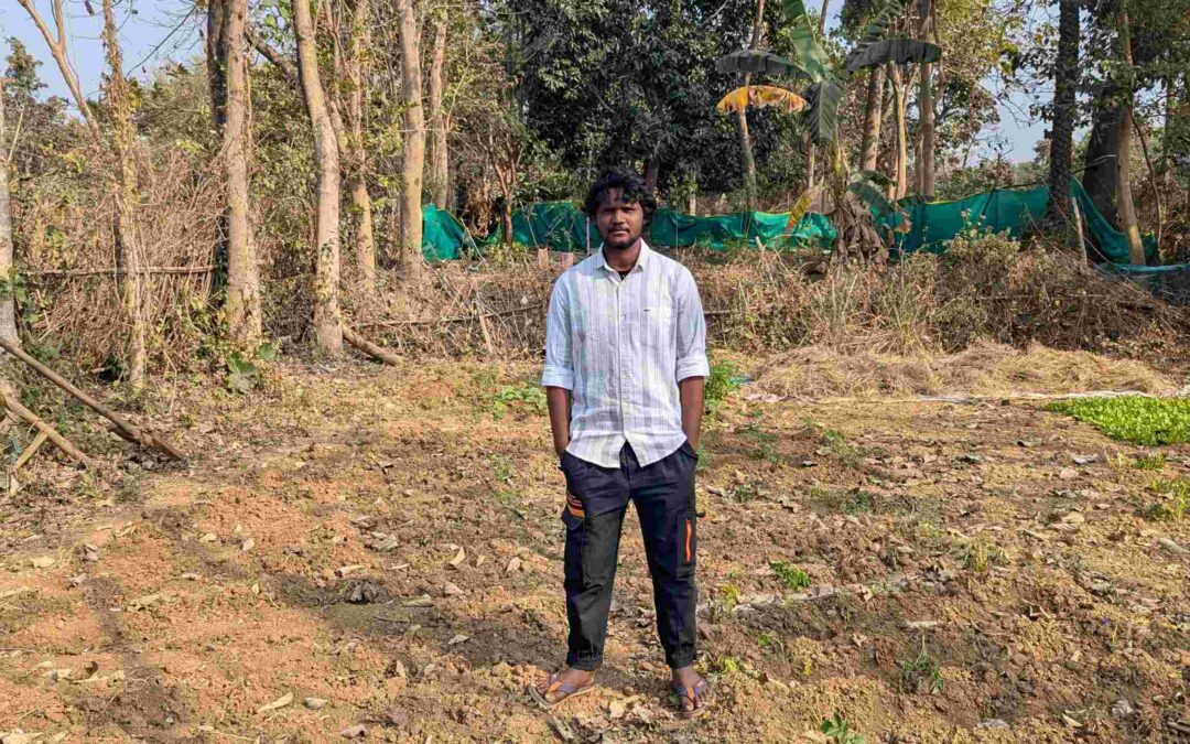 Gradually Growing Gardens