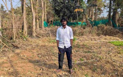 Gradually Growing Gardens