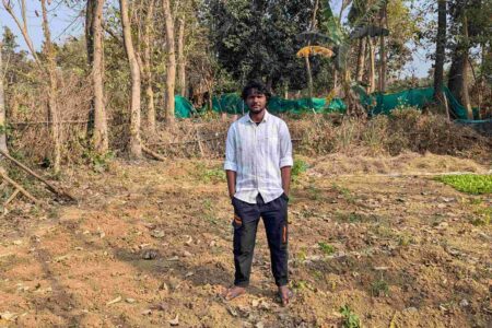 Gradually Growing Gardens