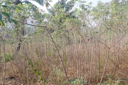 Land Ownership Ahoy!