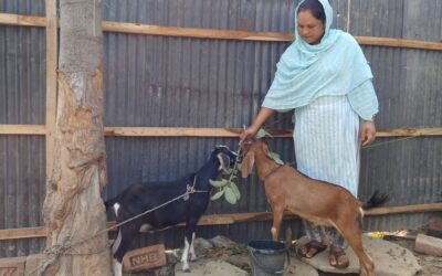 Empowered Woman Now Has Economic Stability