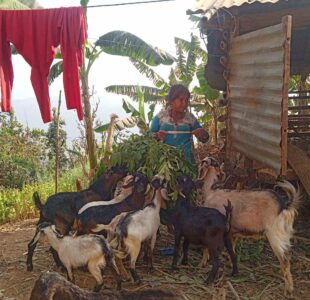 Better Use of Local Resources Increases Income