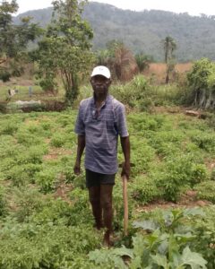 Smart Farming