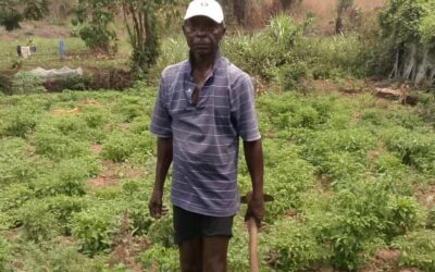 Smart Farming