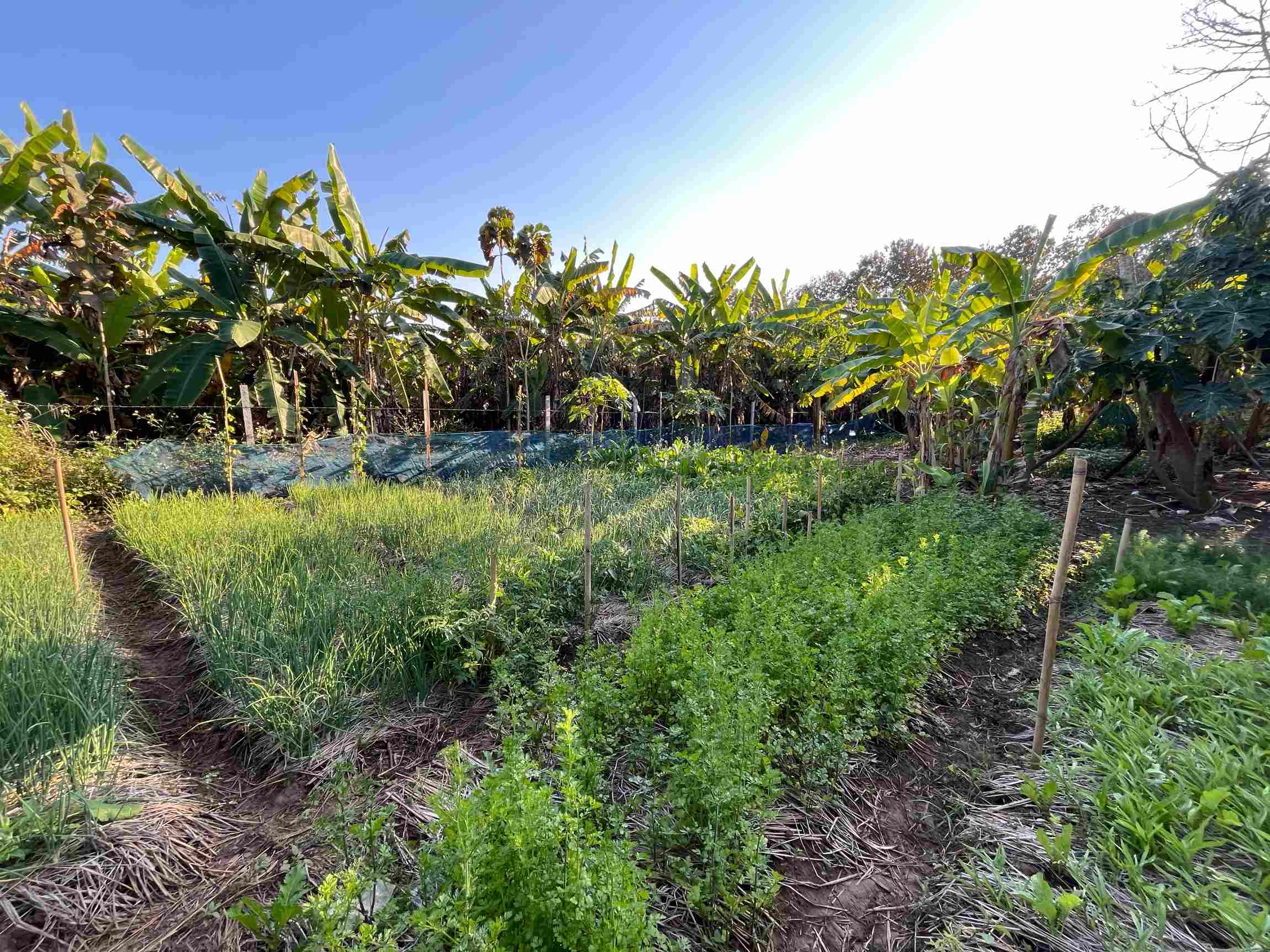 Confidence in their improved water supply encourages development in other areas.